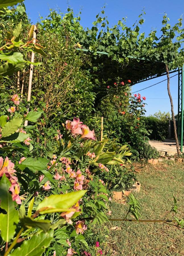 Appartamento da Vjeri Pola Esterno foto